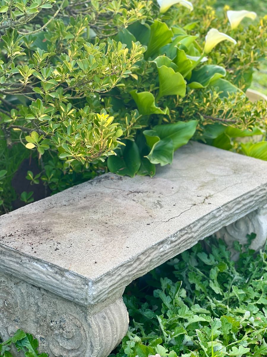 Santa Ynez Estate Sale starts on 3/9/2024