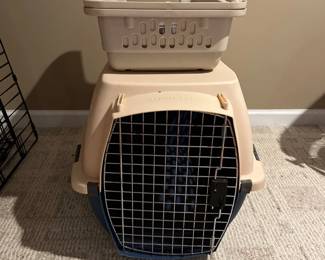 350Mar 04 2024 06 18pmtLBS