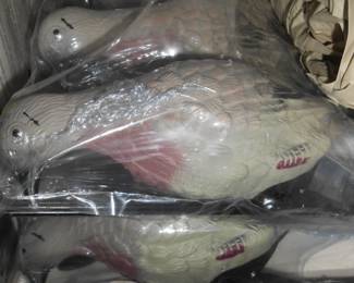 Dove Decoys    NEW