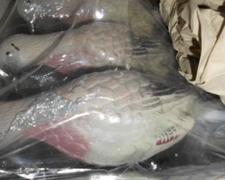 Dove Decoys   NEW