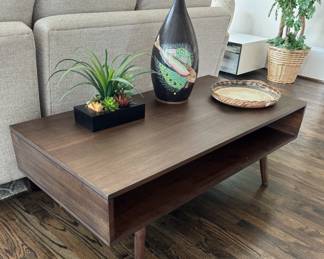 Modern Coffee Table