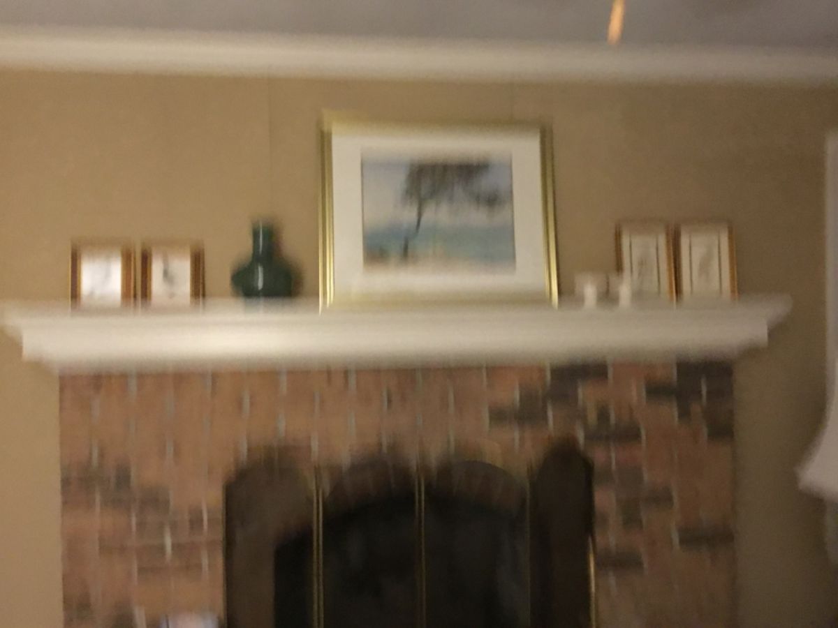 Silverwood Chesapeake Estate Sale starts on 3/7/2024