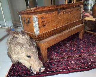 Boars Head, Taxidermy. Primitive Wood Trunk w/ Stand