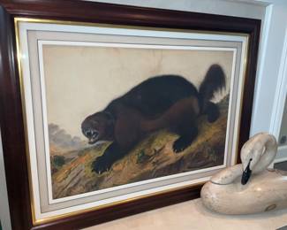 J.J. Audubon, Limited Edition of 200, published by Oppenheimer Editions 2009. Custom framing including museum glass. Plate 026, "Wolverine", Print #102