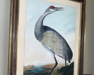 J.J. Audubon, Limited Edition of 200, published by Oppenheimer Editions 2009. Custom framing including museum glass. Plate 261, "Sandhill Crane", Print #113