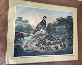 Painting of pheasants. Entered according to Act of Congress in the year 1856 B. Currier.