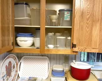 Storage Containers; Trays