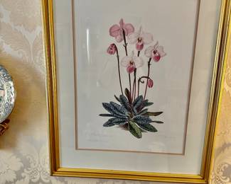 Botanical art