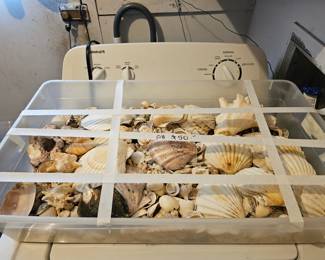 Large lot of shells, one lot