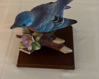 Andrea blue bird