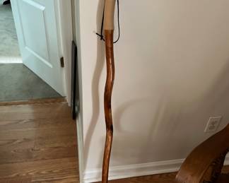 Walking stick with compass