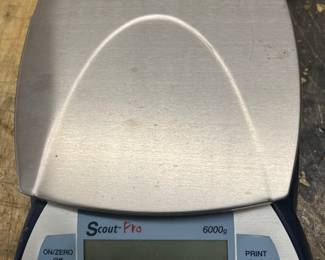 Scout Pro scale