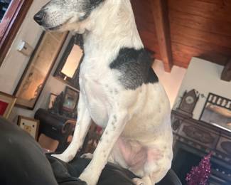 On top of her world!