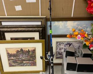 Fishing rod and accessories