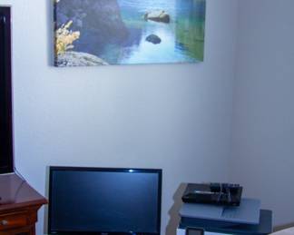 Asus computer monitor, HP laser printer, landscape artwork/photography