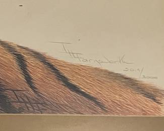 #246 Print Pastel of Tiger - by TH Farnsworth 2019/3000 (has water damage on Matte) - 32x26	 $275.00 
