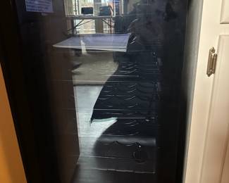 #259   Wine Cooler holds approx 24 bottles of wine - you Move    $75