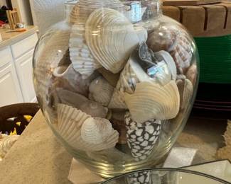 Seashells