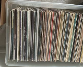 Did I type Vinyls???