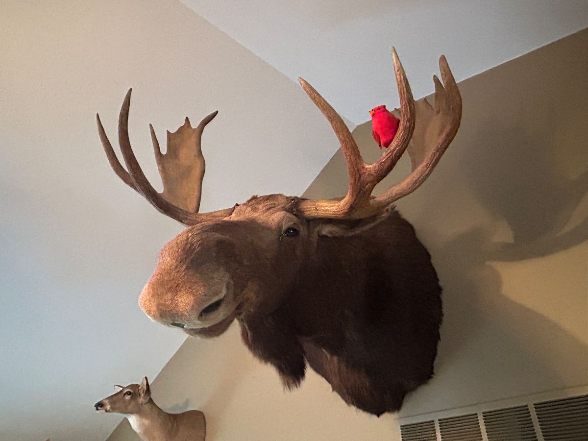 Outdoors Enthusiast Estate Sale in Cassopolis, MI starts on 3/23/2024