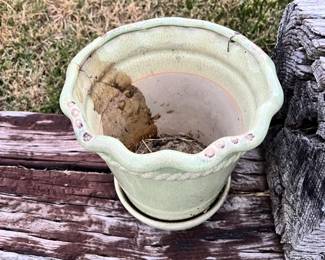 pot