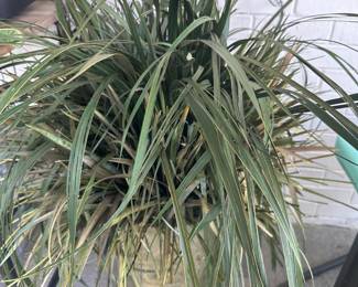 large outdoor artificial plants-2