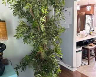 large tree