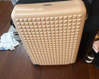 lots of luggage