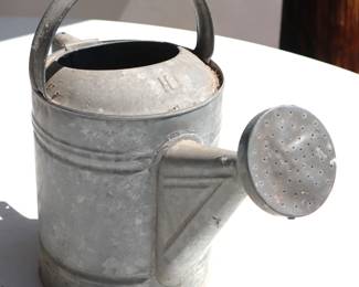 galvanized watering can 