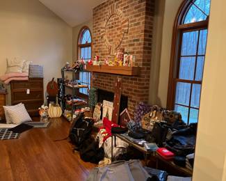 Holiday items- Christmas, Easter, Halloween, pillows and blankets