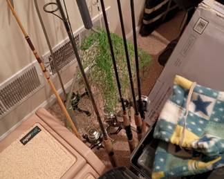 Fishing rods
Bait cast and spinning  reel types