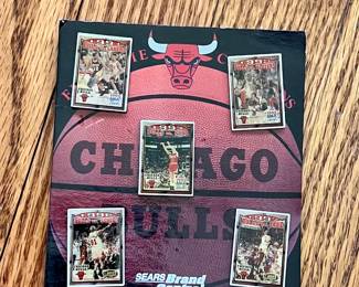 Chicago Bulls - Sears Brand Central pins