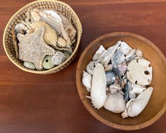 Lot 2928 Seashell Collection Starfish Crab Sand Dollars Etc