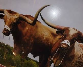 "BEVO" 