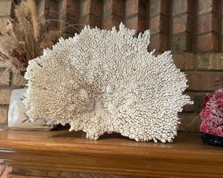 A second large piece of natural white coral