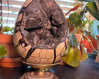 Large Septarian Dragon Egg
