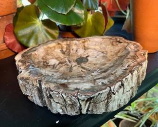 Large Petrified Wood carved bowl
