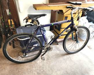 Trek mountain bike