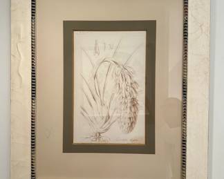 Framed Botanical Print