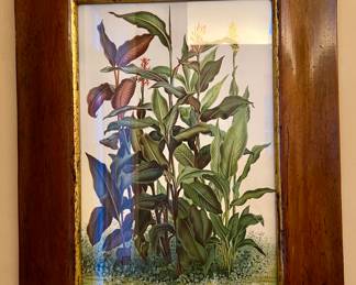 Framed Botanical Print