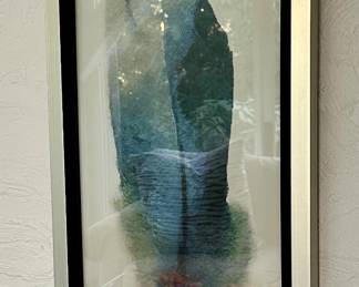 Uttermost Company Feather Print