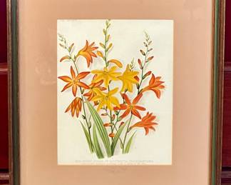 (3) Botanical Prints