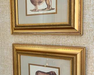 Framed Lion & Cheetah Prints