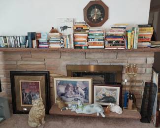 Books, DVDs, CDs, cat statuary, 