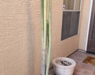 Concrete Planter and smaller planter with Cactus