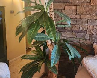 Faux Cactus Skeleton Palm on Square Pot