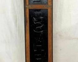 BACKVIEW WOLFS HEAD VERTICAL