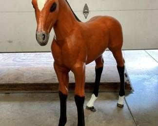 FRONT VIEW FOAL