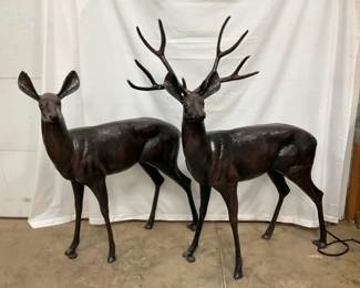 CLOSEUP VIEW OTHERSIDE