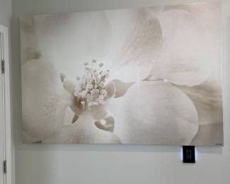 Oliver Gal Flower Wall Art $250